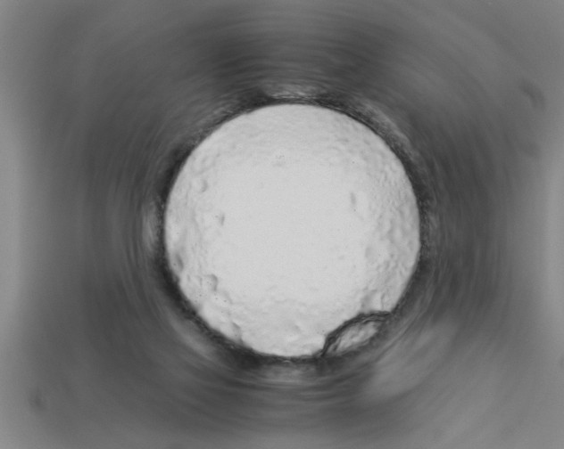 X0000112880069200910021401