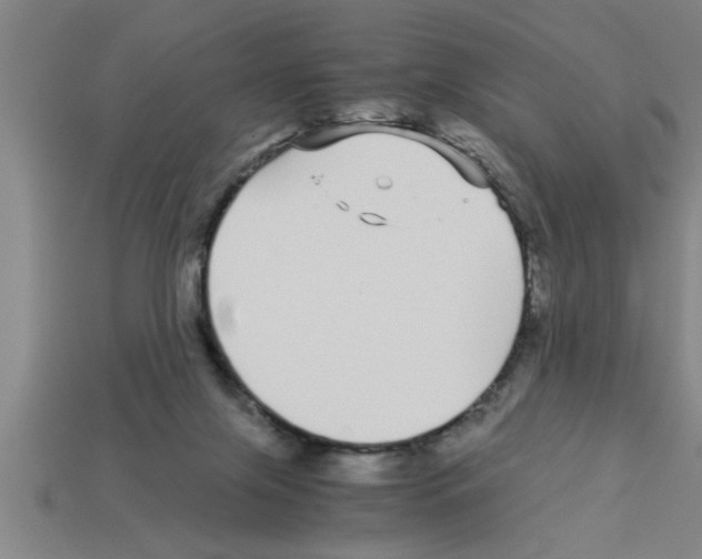 X0000112880071200910021401