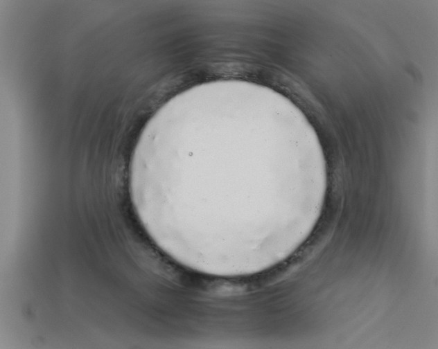 X0000112880073200910021401