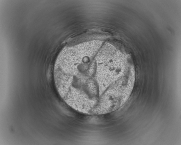 X0000112880074200910021401