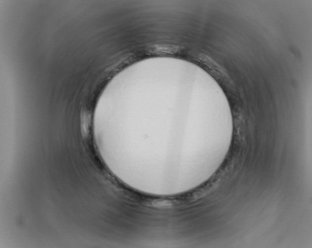 X0000112880075200910021401