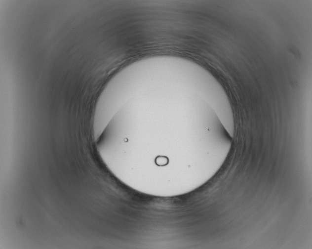 X0000112880076200910021401