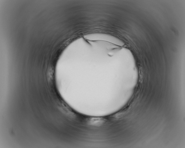 X0000112880077200910021401