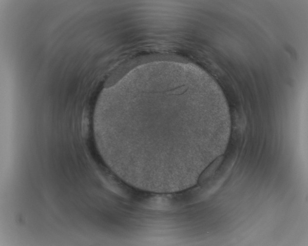 X0000112880080200910021402