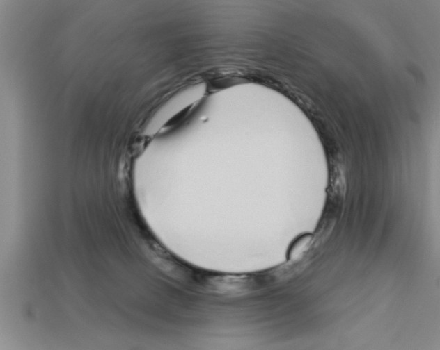 X0000112880082200910021402