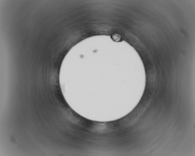 X0000112880083200910021402