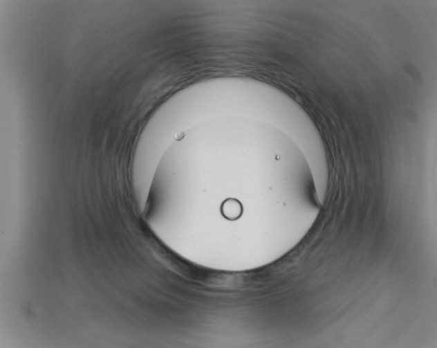 X0000112880084200910021402