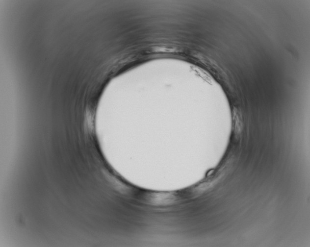 X0000112880089200910021402