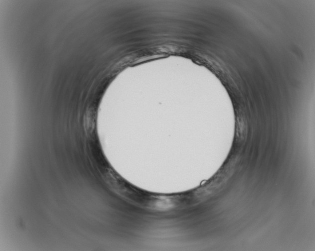 X0000112880091200910021402