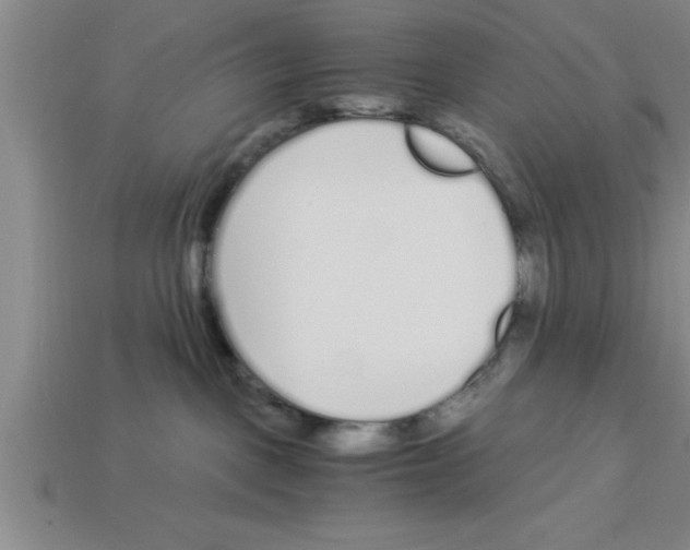 X0000112880093200910021402