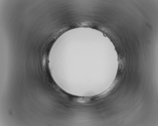 X0000112880094200910021402