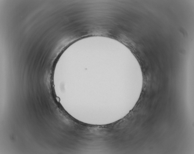 X0000112880098200910021401