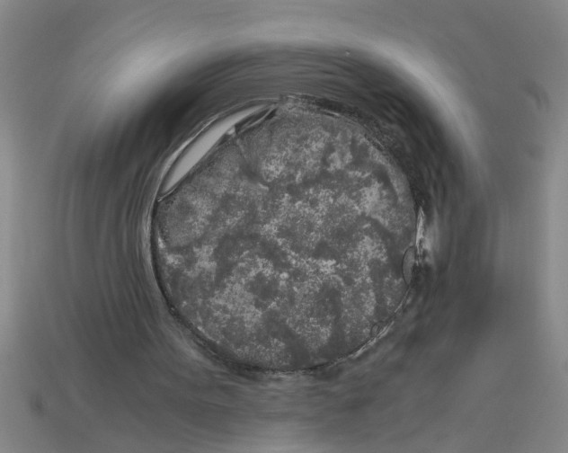 X0000112880099200910021401