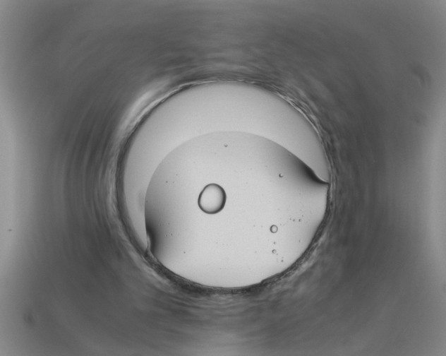 X0000112880101200910021401