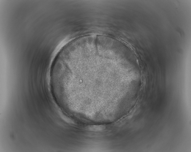 X0000112880102200910021401