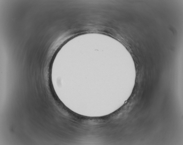 X0000112880103200910021401