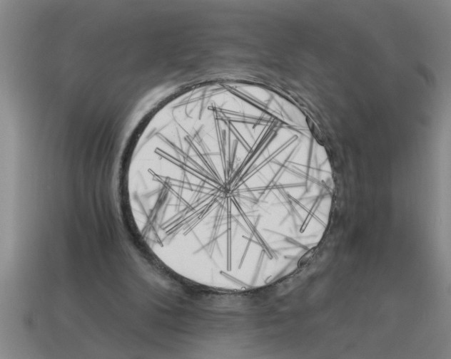 X0000112880104200910021401