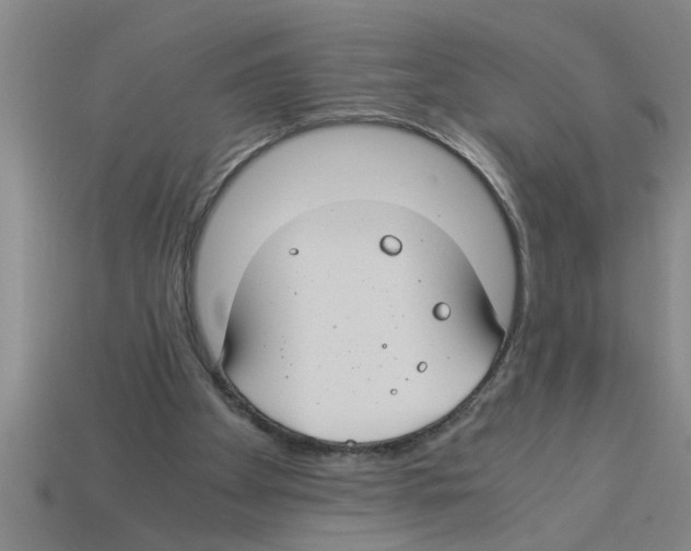 X0000112880105200910021401