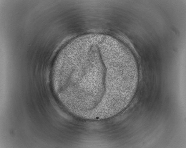 X0000112880106200910021401