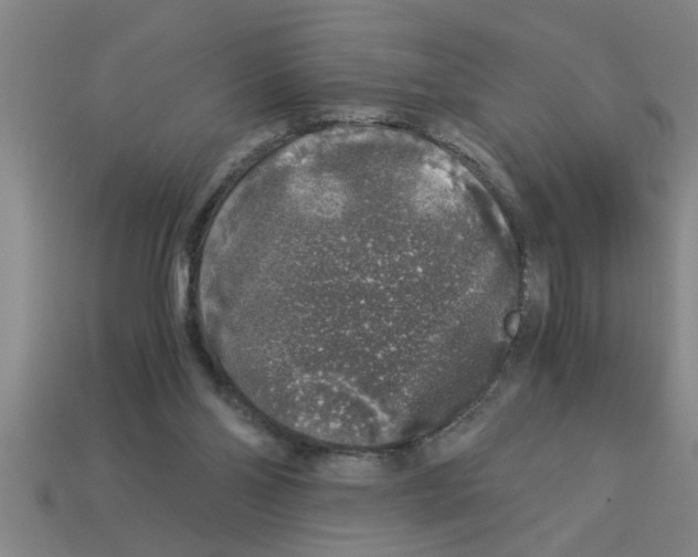 X0000112880110200910021401