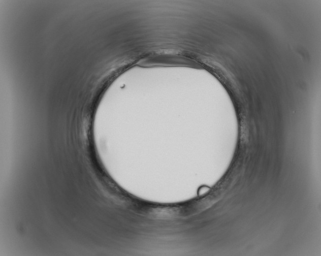 X0000112880115200910021401