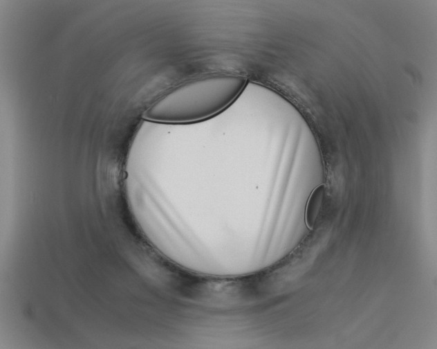 X0000112880117200910021401