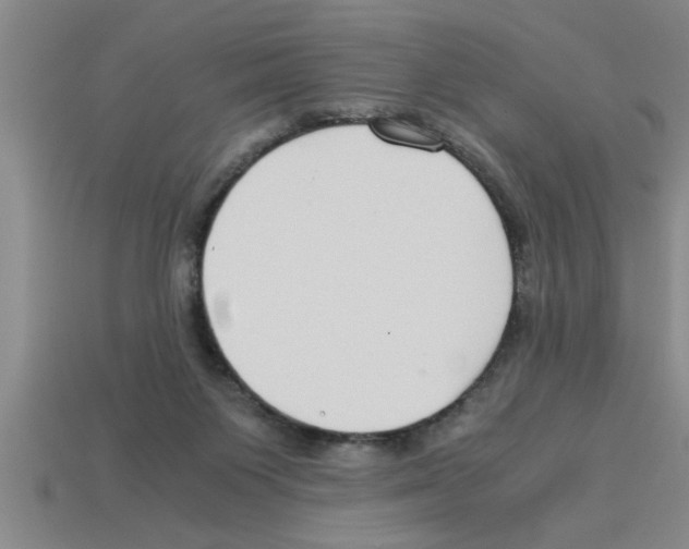 X0000112880119200910021401