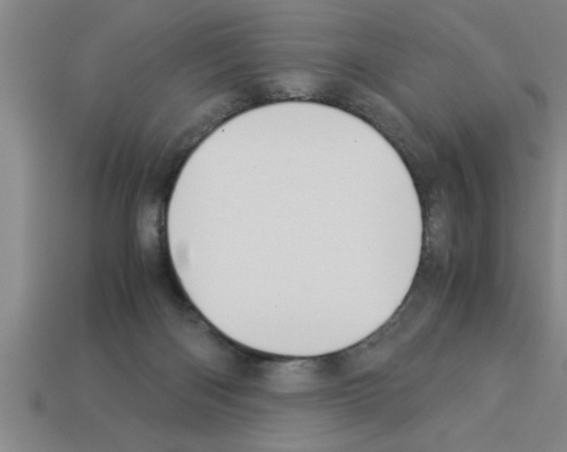 X0000112880122200910021401