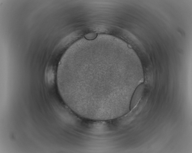 X0000112880124200910021401