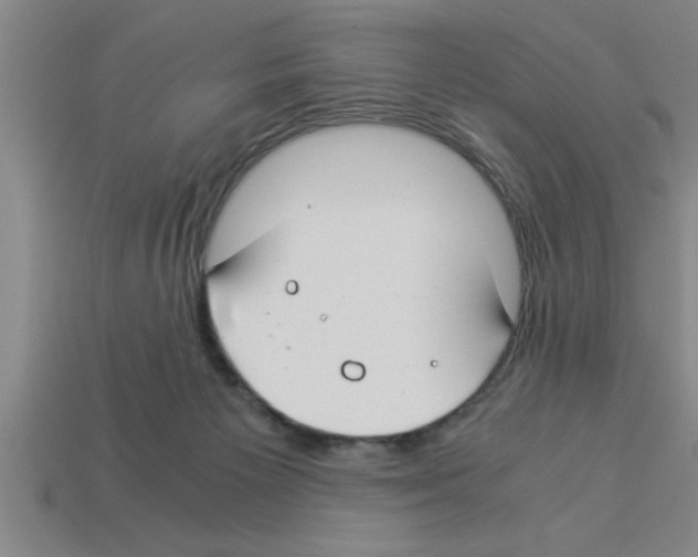 X0000112880125200910021401