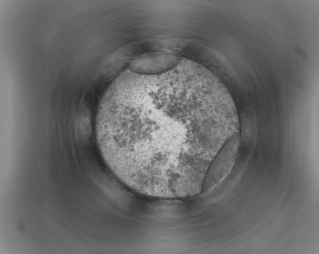 X0000112880128200910021401