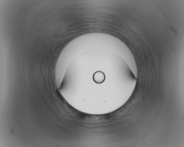 X0000112880129200910021401