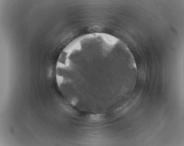 X0000112880134200910021401