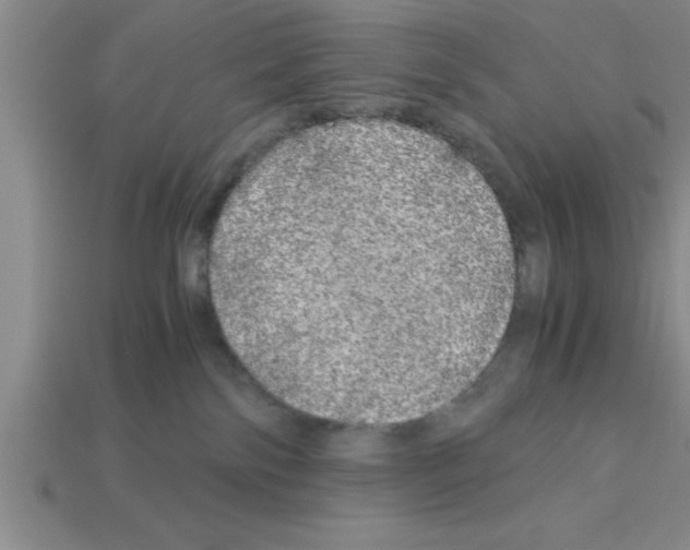 X0000112880138200910021400