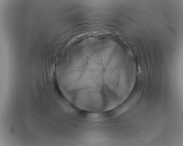 X0000112880139200910021400