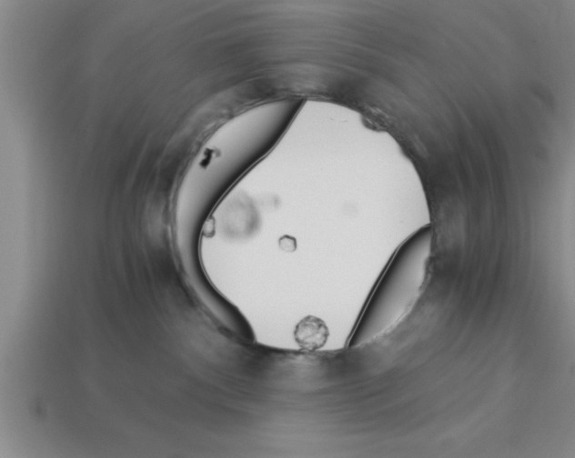 X0000112880140200910021400