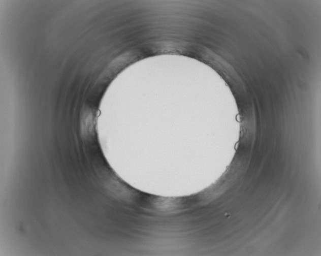 X0000112880142200910021400