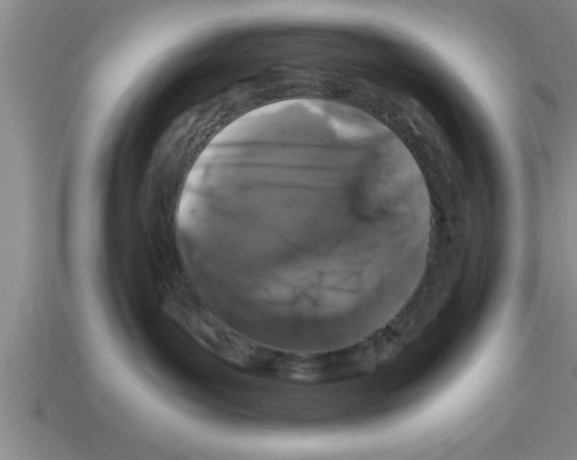 X0000112880143200910021400