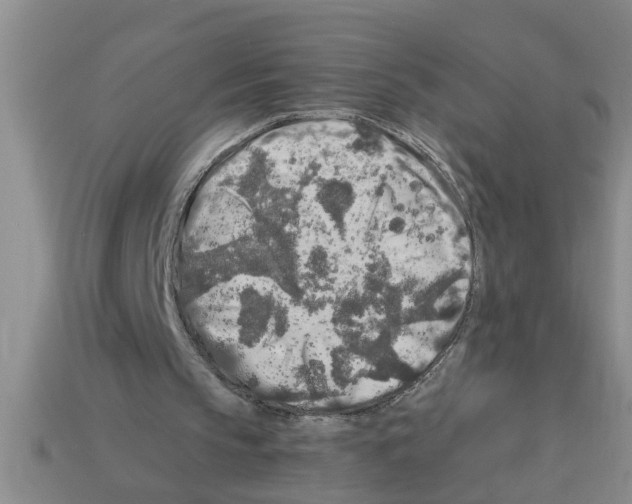 X0000112880145200910021400