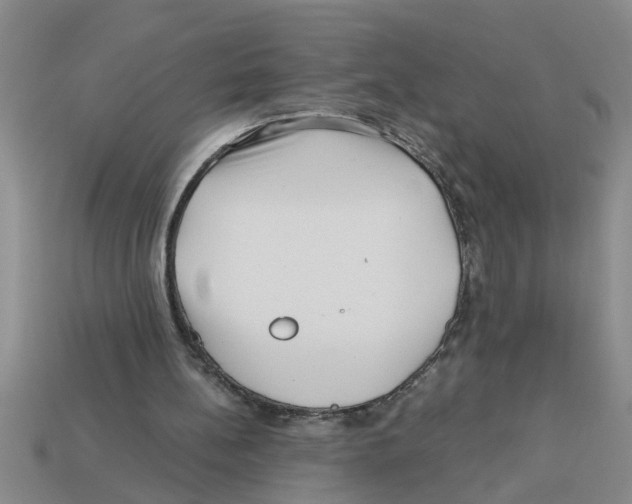 X0000112880148200910021400