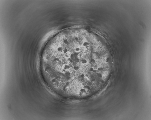 X0000112880149200910021400