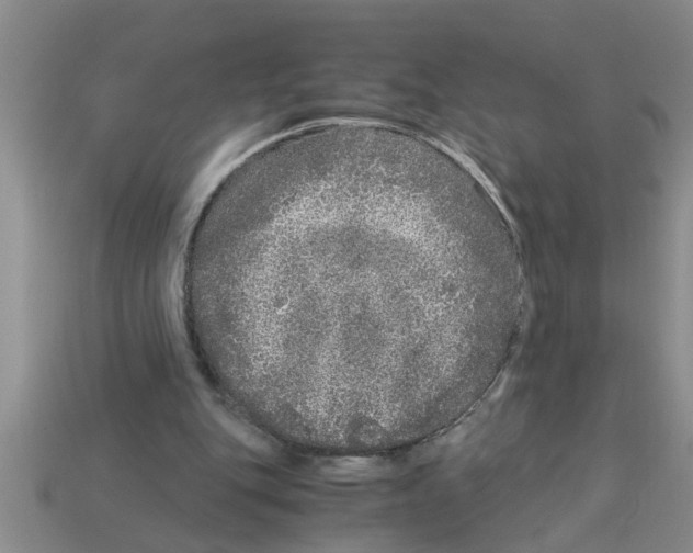 X0000112880151200910021400