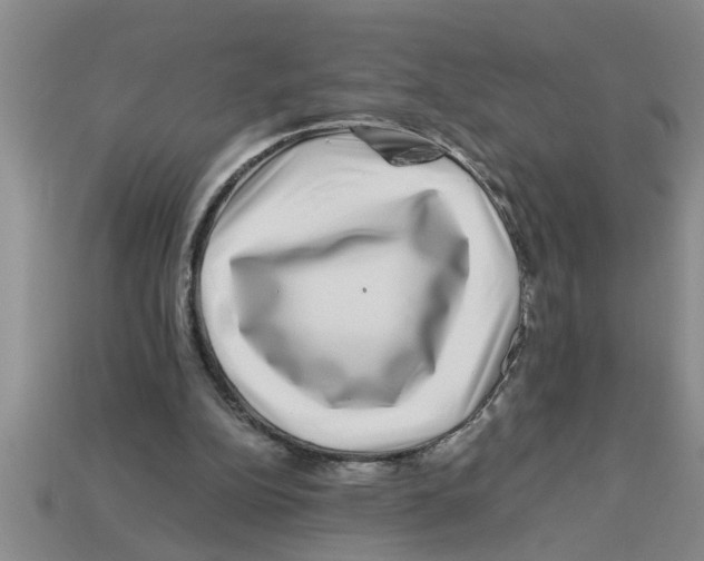 X0000112880152200910021400