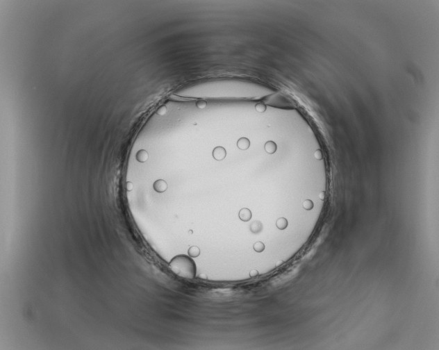 X0000112880153200910021400