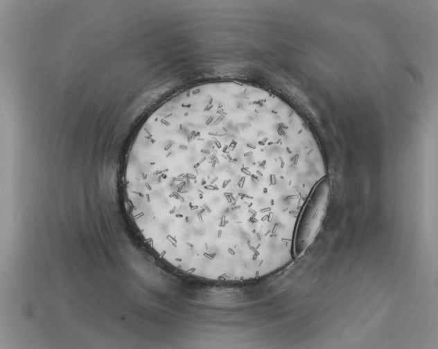 X0000112880154200910021400