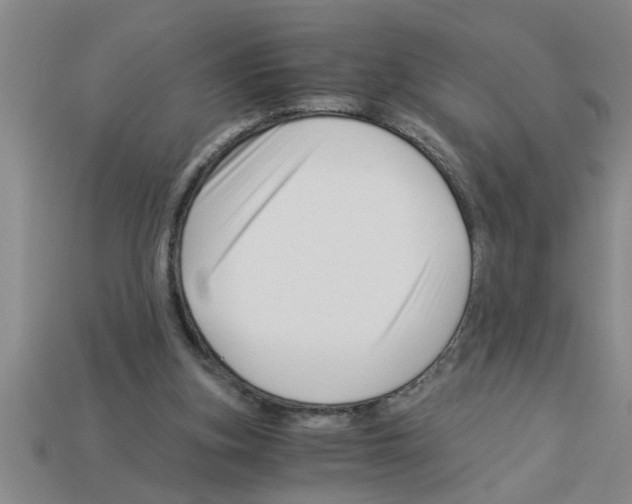 X0000112880155200910021400