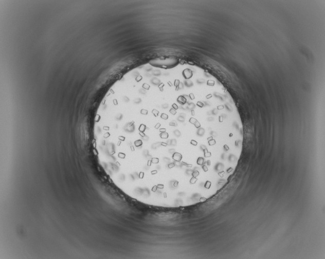 X0000112880158200910021400