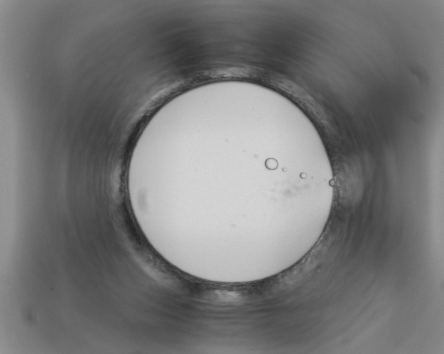 X0000112880159200910021400