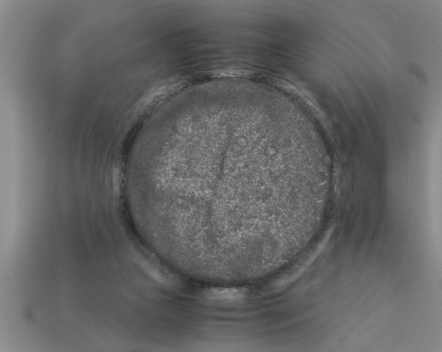 X0000112880161200910021400