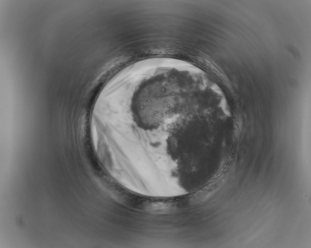 X0000112880163200910021400